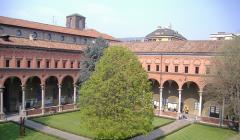 Immagine allegata